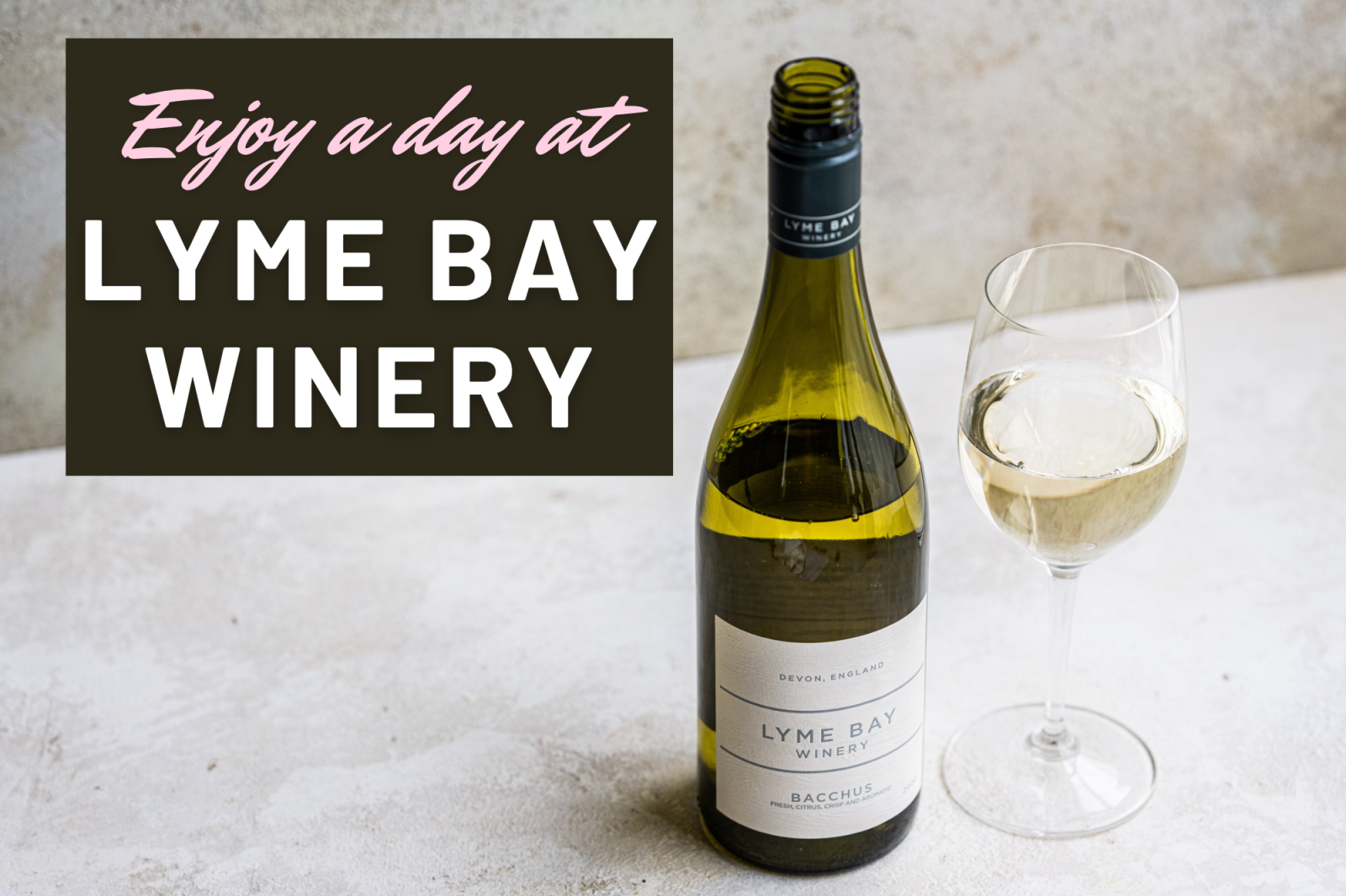 Enjoy a Day at Lyne Bay Winery